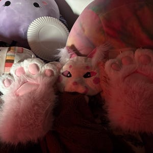 Chloeonpaws added a photo of their purchase
