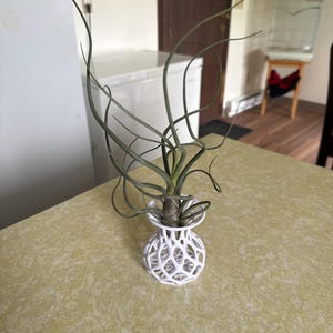 Shelly added a photo of their purchase
