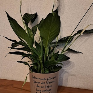 Andrea added a photo of their purchase