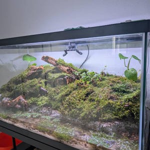 John heeft een foto van zijn/haar aankoop toegevoegd