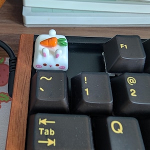 Kyuu heeft een foto van de aankoop toegevoegd
