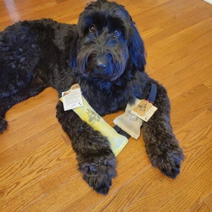 Canorg added a photo of their purchase