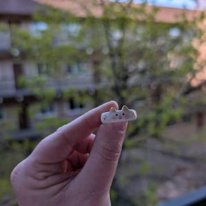 Kamrin hat ein Foto des gekauften Artikels hinzugefügt