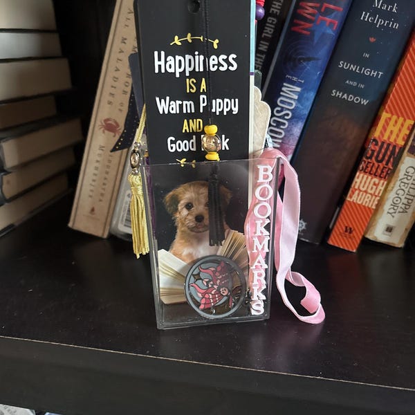 Bookmark Holder Bookmark Pot Bookshelf Decor Reading Gift Book ...