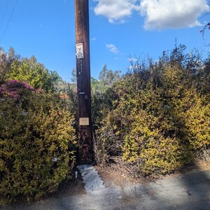 Peggy ha añadido una foto de su compra