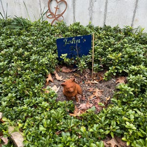 Graham added a photo of their purchase