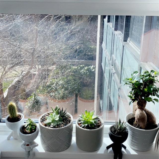 Little People Plant Pots Available in 6 Poses, Cute Planter With Drainage,  Succulent Planter, Boho Decor, Window Plant Shelf, Robert Planter 