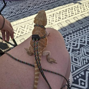 Karyin added a photo of their purchase