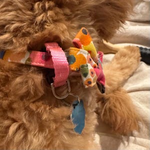 Cheryl added a photo of their purchase