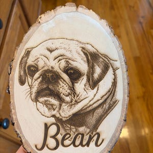 Lacey added a photo of their purchase