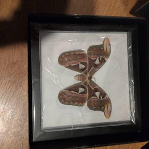 Izzie added a photo of their purchase