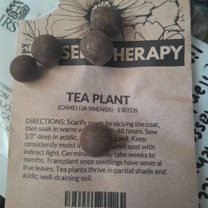Survival Garden, Medicinal Herb Collection - 40 Seed Varieties, Over 3600 Seeds, Heirloom, Long Shelf Life, Non-GMO, Emergency Go Bag
