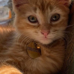 Isobel さんが購入した商品の写真を追加しました