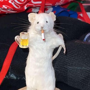 剥製、喫煙、ビールを飲む、酔っ払ったネズミ、彼への面白い贈り物