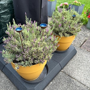 Abreuvoir à Abeilles Navaris - Fontaine Céramique Avec Billes Verre - Pour Jardin, Balcon - 20x20 Cm