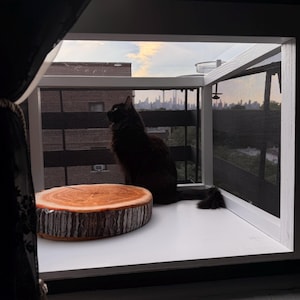 Gia added a photo of their purchase