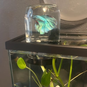 sarah added a photo of their purchase