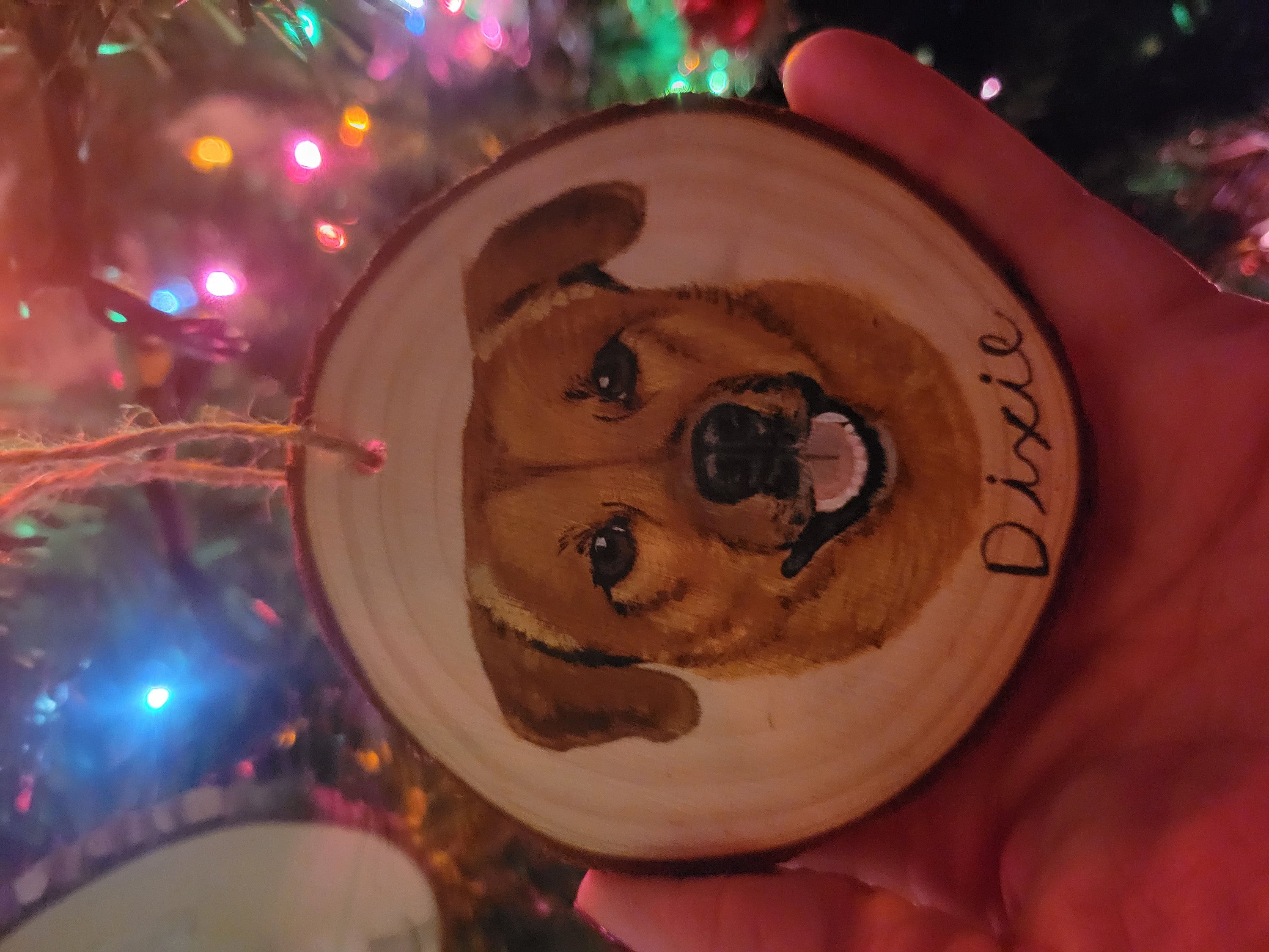 Custom Pet Portrait Ornaments, hand painted pet ornament, personalized pet memorial, pet lovers gift, custom dog portrait