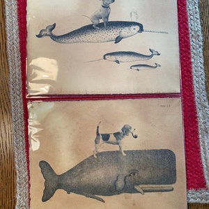 Cat Riding Moose Abyssinian Cat Riding Moose Vintage Collage | Etsy