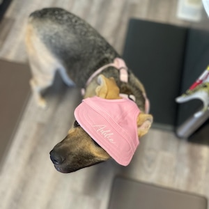 Jenny added a photo of their purchase