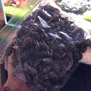 감 added a photo of their purchase