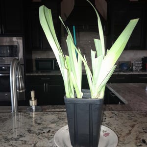 Darlene added a photo of their purchase