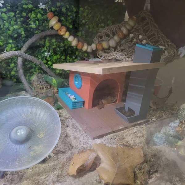 3D Printed Mid-century Modern Hermit Crab Home: Hide, Feeder & Foraging ...