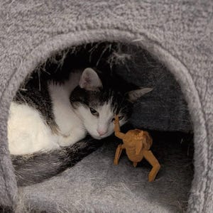 Kupujący z Etsy dodał(a) zdjęcie swoich zakupów