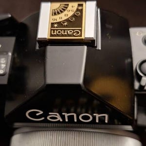 Roli added a photo of their purchase