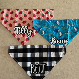 Rachel added a photo of their purchase