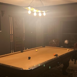 Fallon added a photo of their purchase
