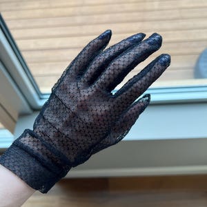 Laura added a photo of their purchase