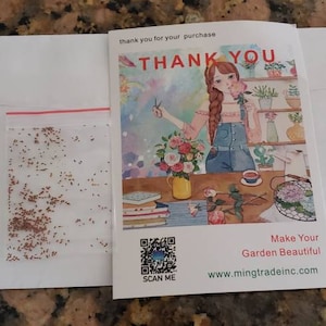 Blue Succulents Witchford Lithops Seeds, 100pcs/pack