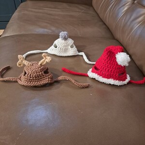 L Déguisement De Noël Pour Chat Et Chien Écharpe De Noël | Leroy Merlin