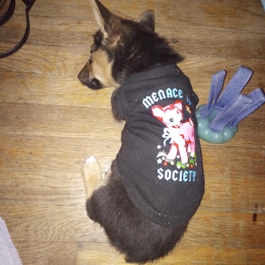 Sara ha añadido una foto de su compra