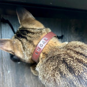 Palee added a photo of their purchase