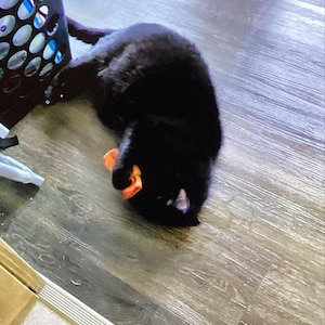 Victoria added a photo of their purchase
