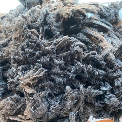 Merino Fleece, Raw Wool, 4 Lbs, 15 Oz Merino Sheep Fleece, Hand ...