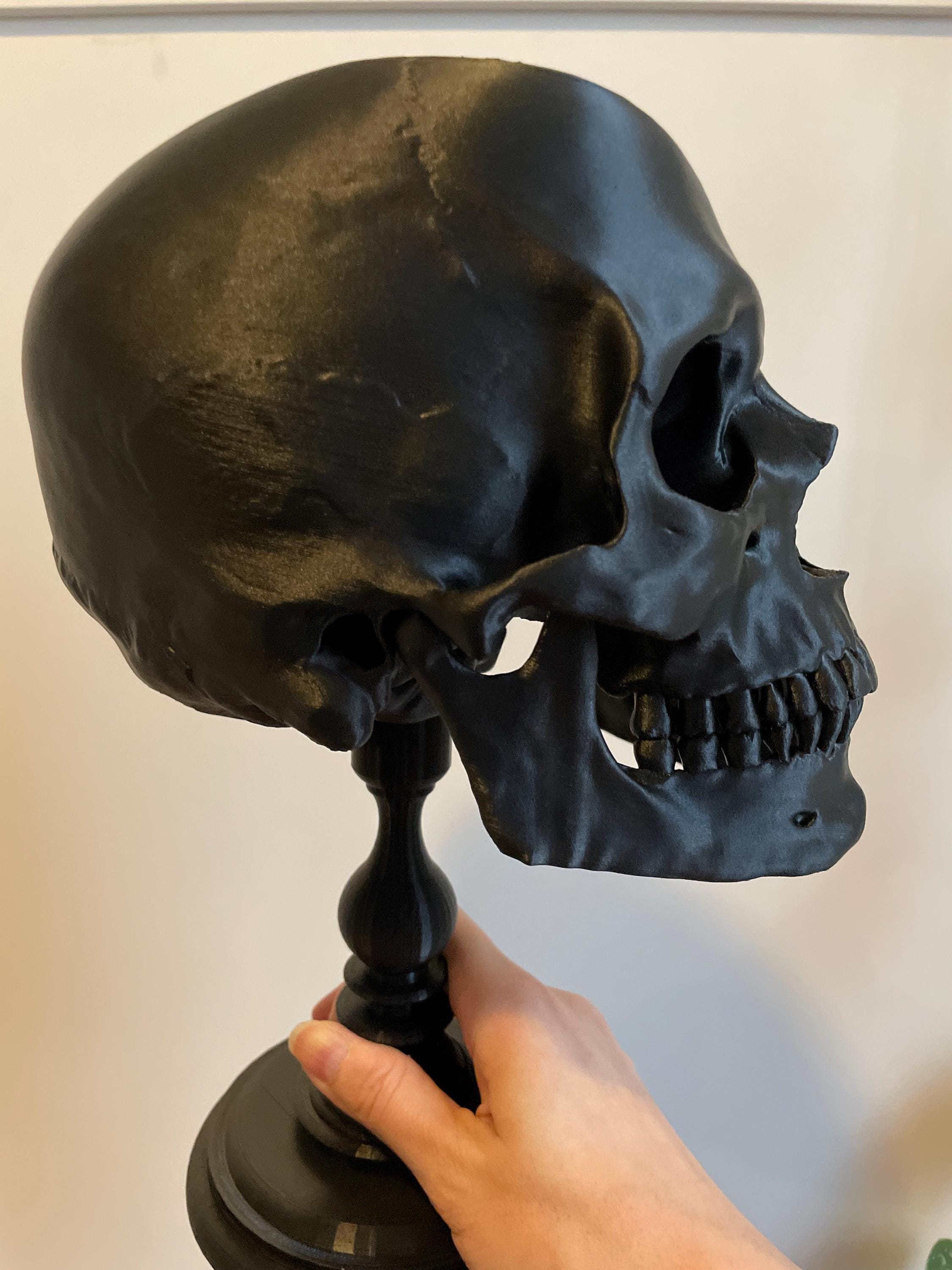Realistic Human Skull, Skull Replica with Detachable Plinth, 3D-PRINTED