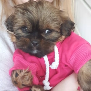 Georgie added a photo of their purchase