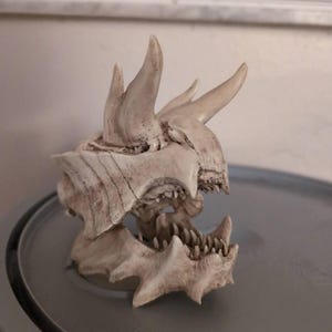 Dragon Gla-venus Skull With Articulated Jaw - Etsy