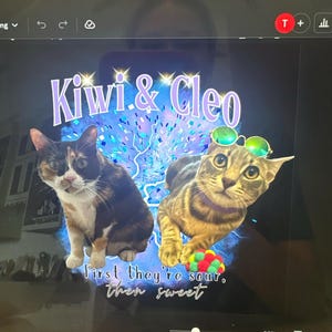 Inactive account added a photo of their purchase