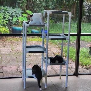 Mary added a photo of their purchase