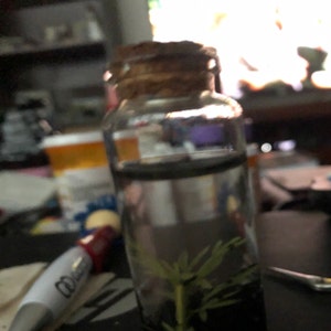 Inactive account added a photo of their purchase