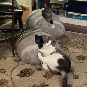 Gena added a photo of their purchase
