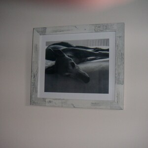 Barbera added a photo of their purchase
