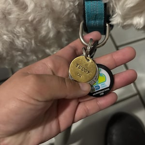 Inactive account added a photo of their purchase
