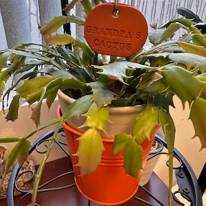 Deborah added a photo of their purchase