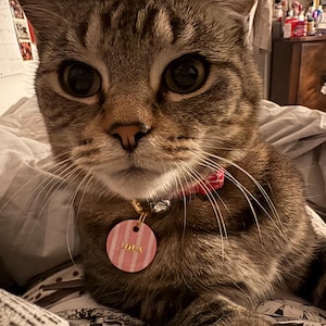 Toby added a photo of their purchase