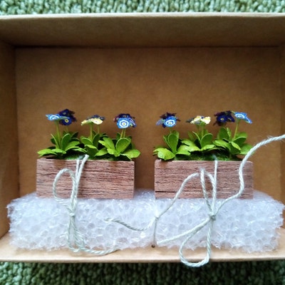 Miniature Primula Auricula Flower in the Box 1:12 Dollshouse - Etsy